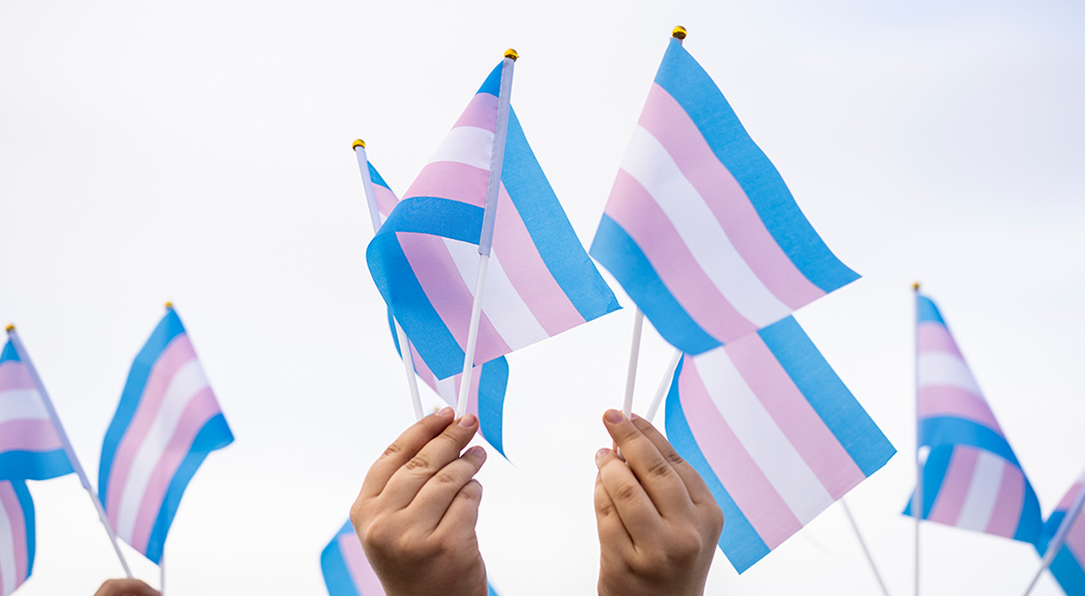 People holding up transgender flags