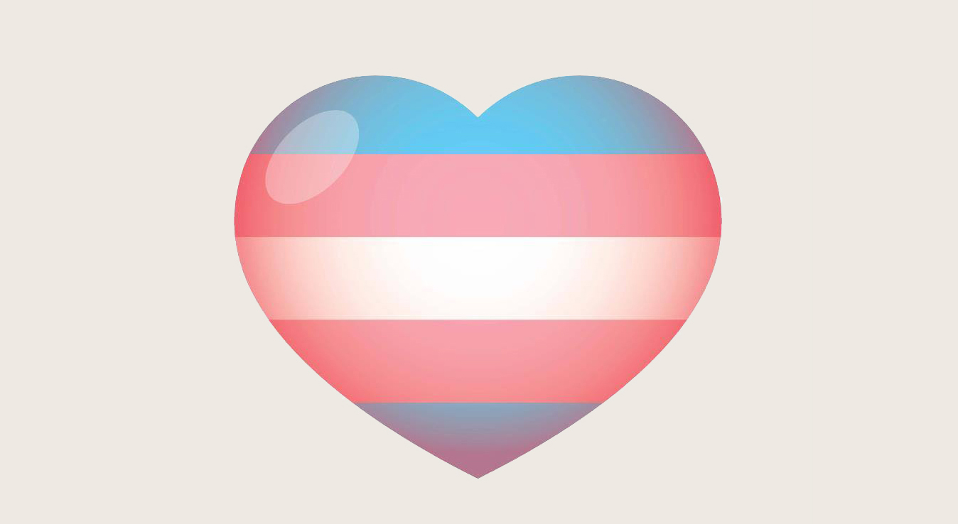 Trans flag in a heart