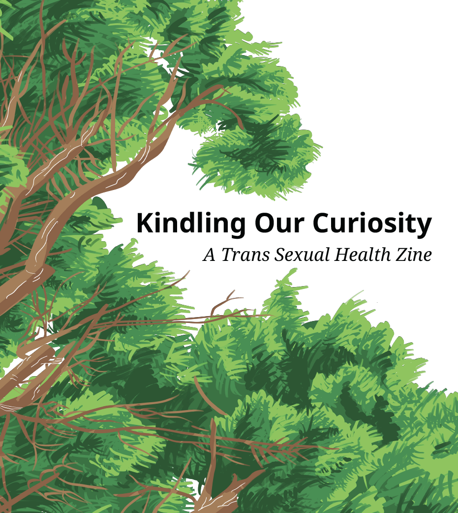 Kindling our curiosity: a trans sexual health zine - Volume 2 cover page